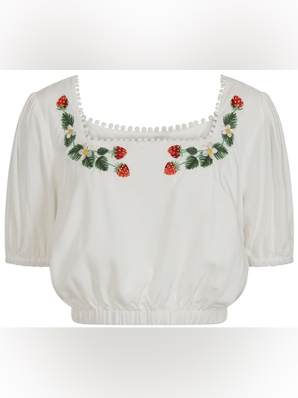 NWT Collectif Aurelia Wild Strawberry Embroidered Crop Top Size Large